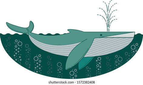 the vector of blue whale.