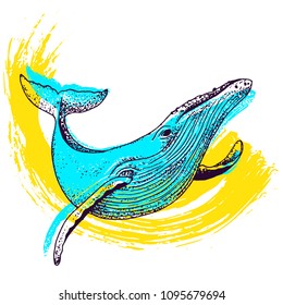Vector blue whale illustration with paint splash, ink sketch with big swimming mammal. Isolated whale swimming in the ocean. Hand drawn illustration in abstract childish style with watercolour.
