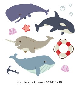 vector blue whale, sperm whale, narwhal and killer whale set