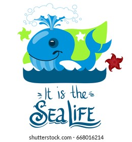 Vector blue Whale and starfish. Design for summer banner or poster. Illustration isolated on white background with place for text