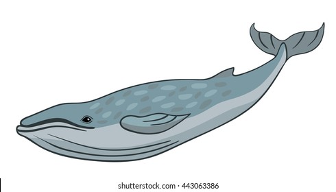 Vector Blue Whale With Stroke Isolated On White Background