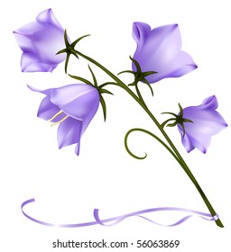 Vector. Bluebell.