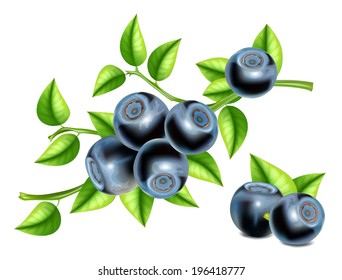  Vector. Arándanos con hojas. 