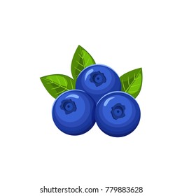 Vector Blueberries With Leaves Isolated On White Background.   