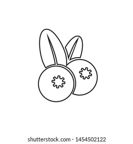 
Vector blueberries line icon on a white background.