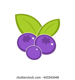 Vector blueberries on a white background