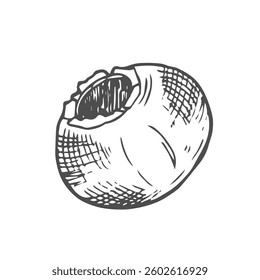 Vector Blueberry black and white engraved ink sketch.