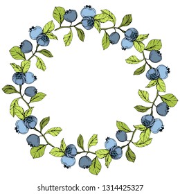 Vector Arte de tinta azul y verde grabado. Berries y hojas verdes. Planta de hojas de vegetación botánica follaje floral. Cuadrado de ornamento del borde del marco.
