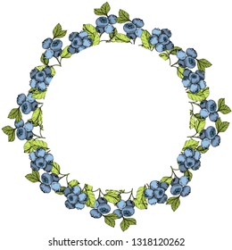 Vector Arte de tinta azul y verde grabado. Berries y hojas verdes. Planta de hojas de vegetación botánica follaje floral. Cuadrado de ornamento del borde del marco.