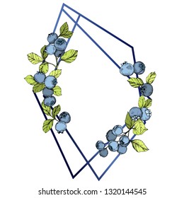 Vector Blueberry blue and green engraved ink art. Berries and green leaves. Leaf plant botanical garden floral foliage. Frame border crystal ornament square.