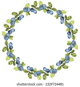 Vector Blueberry blue and green engraved ink art. Berries and green leaves. Leaf plant botanical garden floral foliage. Frame border ornament square.