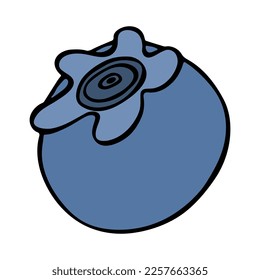 Clíparte del vector de arándano azul. Icono de berry dibujado a mano. Ilustración de fruta. Para imprimir, web, diseño, decoración, logotipo.
