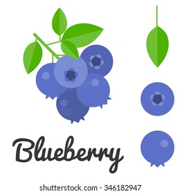 Vector Blueberry, Flat Design