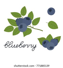 Vector blueberry, flat design