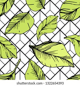Vector Blueberry green and black engraved ink art. Green leaves. Leaf plant botanical garden floral foliage. Seamless background pattern. Fabric wallpaper print texture.