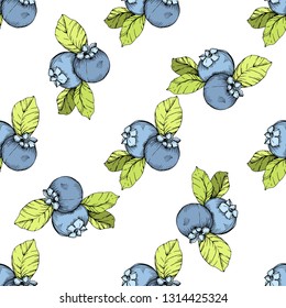 Vector Blueberry green and blue engraved ink art. Berries and green leaves. Leaf plant botanical garden floral foliage. Seamless background pattern. Fabric wallpaper print texture.