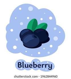 Vector blueberry with green leaves and font design. Ripe fruits full of nutritions and vitamins, juicy fresh cooking ingredient. 