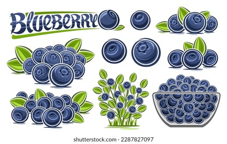 Vector Blueberry Set, große Kollektion von ausgeschnittenen Illustrationen Beerry Stillleben Komposition mit blauen Beeren mit grünen Blättern, rohen Blaubeeren in Glasschüssel, Gruppe von Beerenfrüchten und Text-Blaubeeren