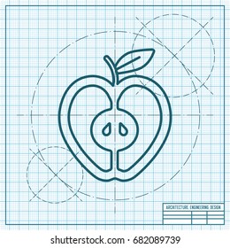 Vector blueprint apple icon on engineer and architect background 