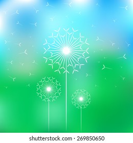 vector blur dandelions and fluff