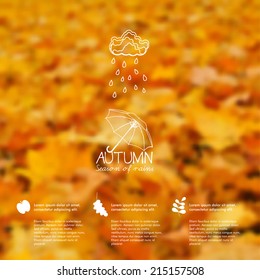 Vector blurred autumn leaves. Autumn unfocused background, web and mobile interface template. Season design. Fall.