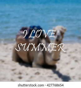 Vector blurred background with camel. Color backdrop with text place. Vector illustration