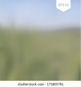 Vector blurred background. Creative background in photographic quality. Blurred landscape photography. Clean neutral backgrounds.