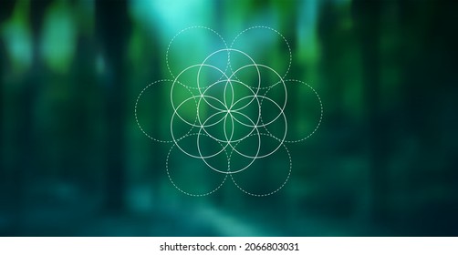 Vector blurred background of forest and trees and symbol Flower of Life