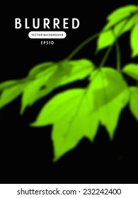 Vector blurred background with green leaves on black