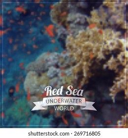 Vector blurred background - Underwater world of the Red Sea. Coral reef. Egypt, Sharm El Sheikh