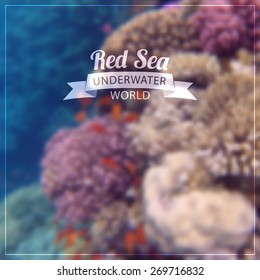 Vector blurred background - Underwater world of the Red Sea. Coral reef. Egypt, Sharm El Sheikh