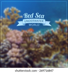 Vector blurred background - Underwater world of the Red Sea. Coral reef. Egypt, Sharm El Sheikh