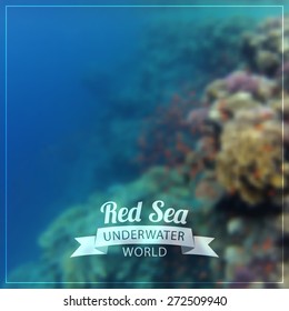 Vector blurred background - Underwater world of the Red Sea. Coral reef. Egypt, Sharm El Sheikh