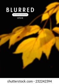 Vector blurred background with yellow autumn leaves on black
