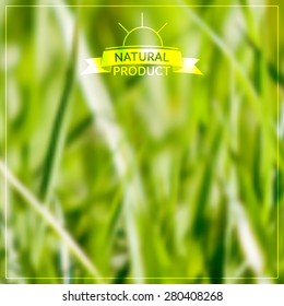 Vector blurred grass background - natural product
