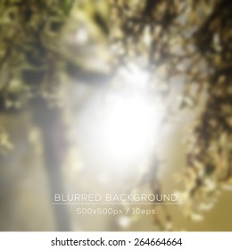 Vector blurred landscape background with fairy forest. Tree in the sunlight . Web and mobile interface template. Eco design.