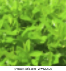 Vector blurred landscape, ecology banner, nature background. Good as web and mobile interface template. Eco design. Green foliage.