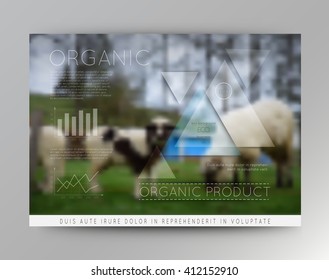 Vector blurred landscape with sheep, eco badge, ecology label, nature view with rams.Green, organic product. Eco products, organic standard, or premium quality green product.