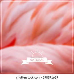 Vector blurred natural background - pink flamingo plumage 