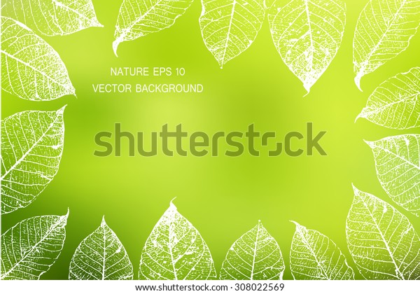 Image Vectorielle De Stock De Image Vectorielle Arriere Plan Nature Flou Avec