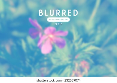Vector blurred photographic unfocused background. Meadow flower 