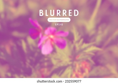 Vector blurred photographic unfocused background. Meadow flower 