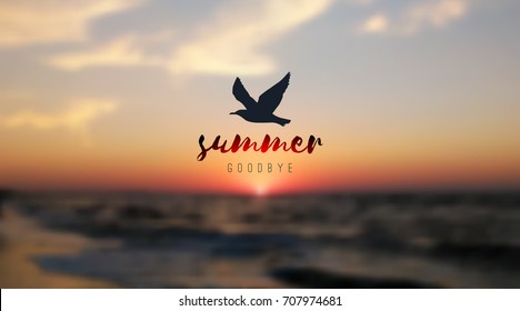 vector blurred sunrise seascape and seagull silhouette