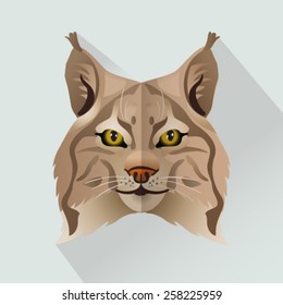 Vector bobcat portrait