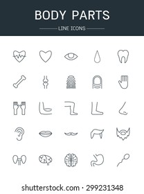 Vector Body Parts Icons Line Style