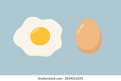 Vector Boiled and Fried Egg 