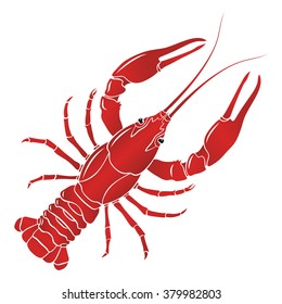 Vector boiled red crayfish, crawfish
