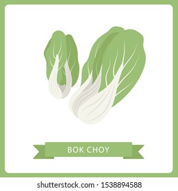 vector Bok Choy isolated, on white background