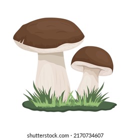 Vector Bolete champiñón aislado en blanco. Caricatura de mano dibujada Bolete, hongos Porcini. Plantilla de diseño, Clipart. Leccinum Scabrum, Penny Bun. Pareja de champiñón en Meadow