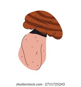 Vector boletus edulis icon. Mushroom cartoon symbol. Organic fungus for forest or wood wildlife. Mycology and biology poster element. Edible wild autumn flora. Nature and botany emblem. Fungi